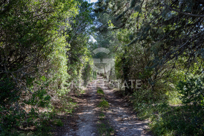 Image No.9-3 Bed Country House for sale