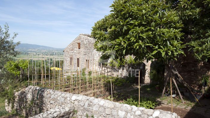 Image No.13-8 Bed Country House for sale