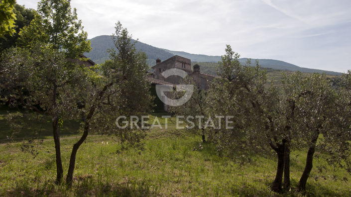 Image No.20-8 Bed Country House for sale