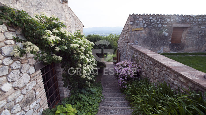 Image No.23-8 Bed Country House for sale