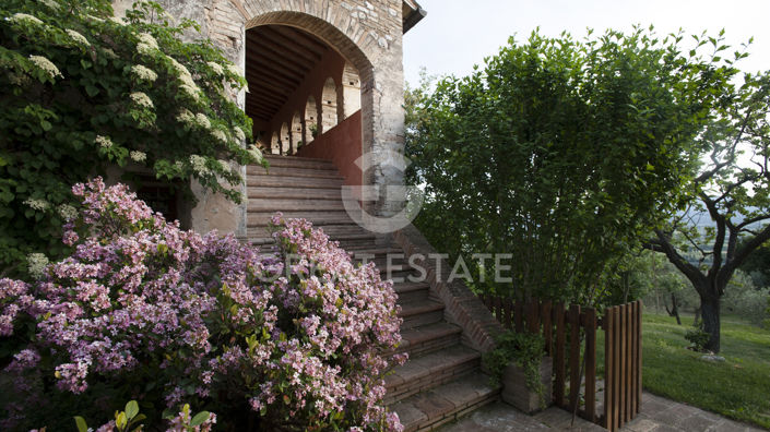 Image No.24-8 Bed Country House for sale