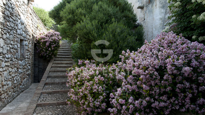 Image No.26-8 Bed Country House for sale