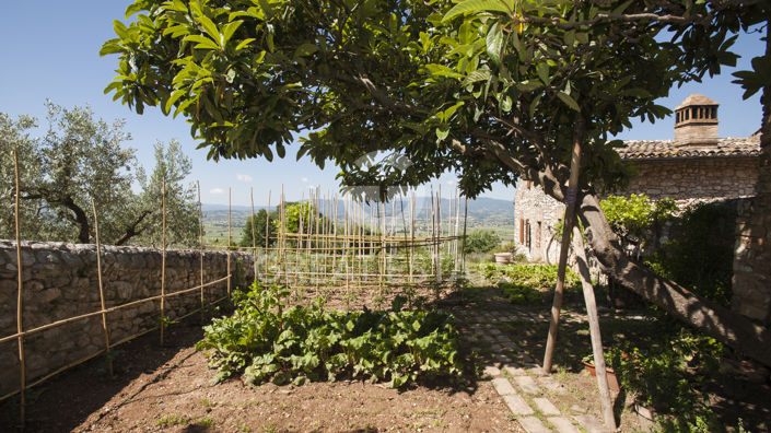 Image No.30-8 Bed Country House for sale