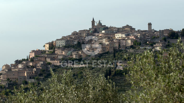 Image No.48-8 Bed Country House for sale