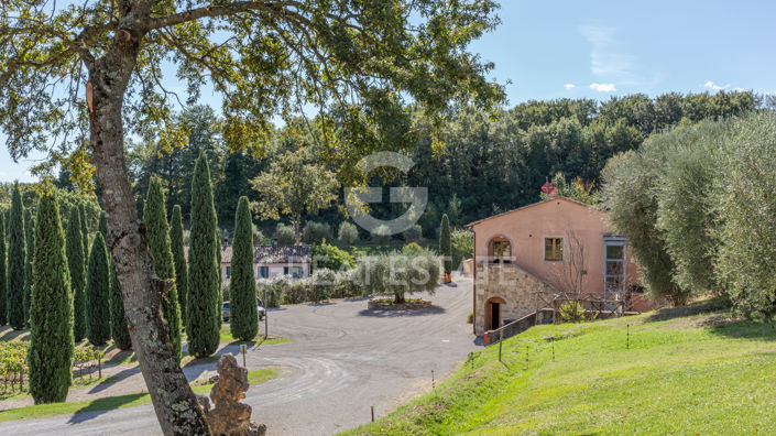 Image No.19-8 Bed Country House for sale