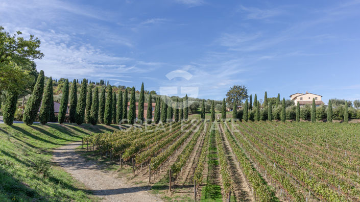 Image No.22-8 Bed Country House for sale