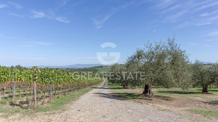 Image No.29-8 Bed Country House for sale