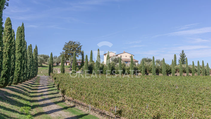 Image No.10-8 Bed Country House for sale