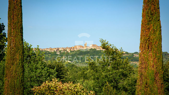 Image No.25-Maison de campagne de 6 chambres à vendre à Citta della Pieve
