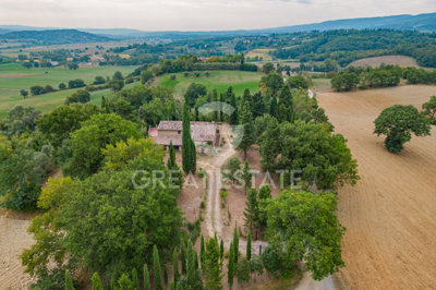 Photo_11
