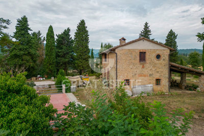 Photo_15