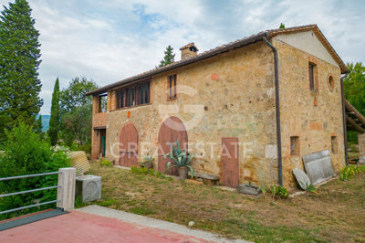 Photo_8