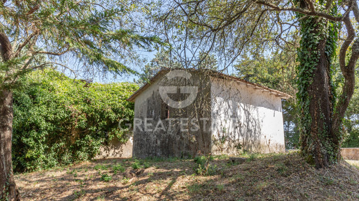 Image No.22-5 Bed Country House for sale