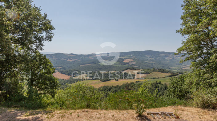 Image No.24-5 Bed Country House for sale