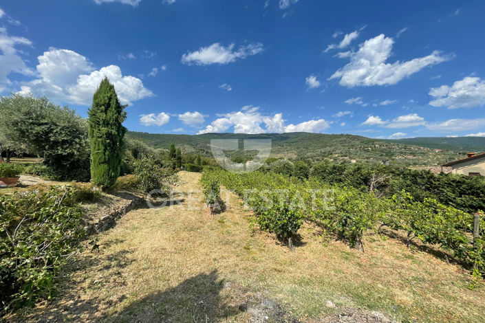 Image No.26-5 Bed Country House for sale