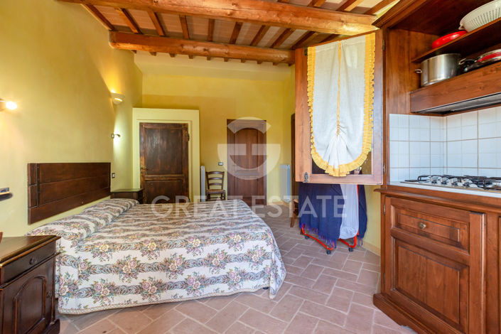 Image No.49-Maison de campagne de 20 chambres à vendre à Castiglione del Lago