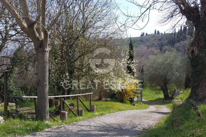 Image No.11-3 Bed Country House for sale