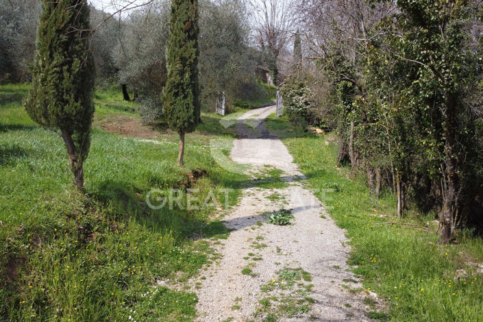 Image No.12-3 Bed Country House for sale