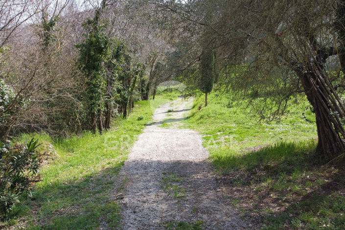 Image No.13-3 Bed Country House for sale