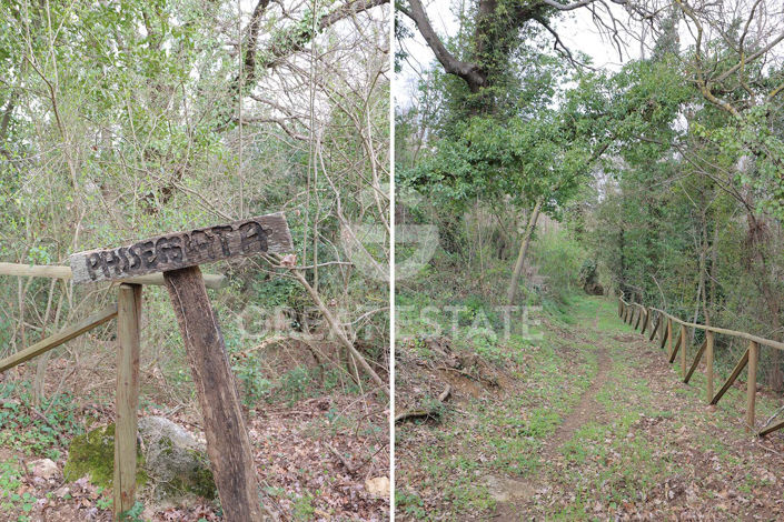 Image No.30-3 Bed Country House for sale