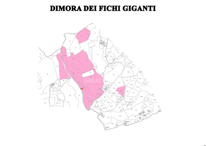 Image No.2-floorplan-2