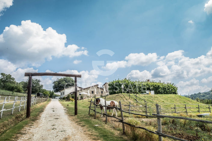 Image No.12-9 Bed Country House for sale