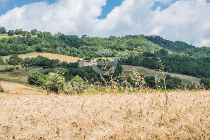 Image No.15-9 Bed Country House for sale