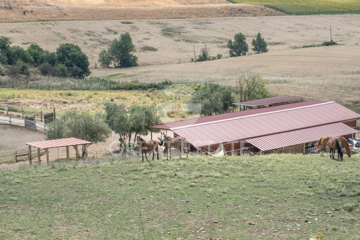 Image No.17-9 Bed Country House for sale