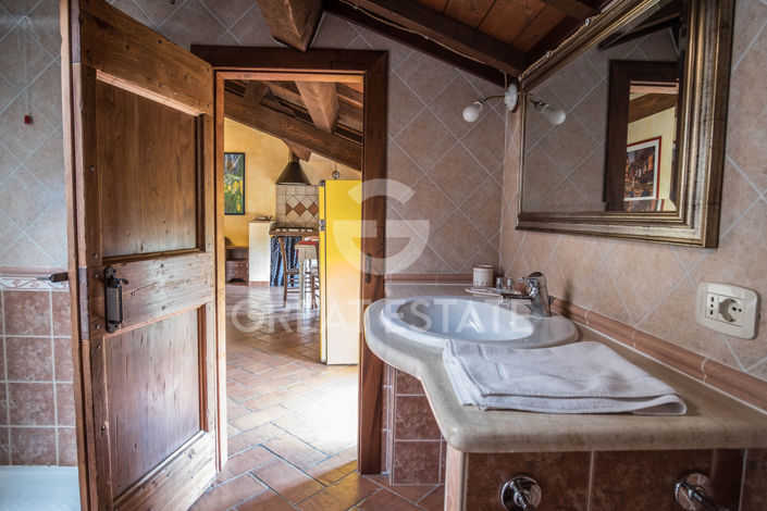 Image No.42-9 Bed Country House for sale