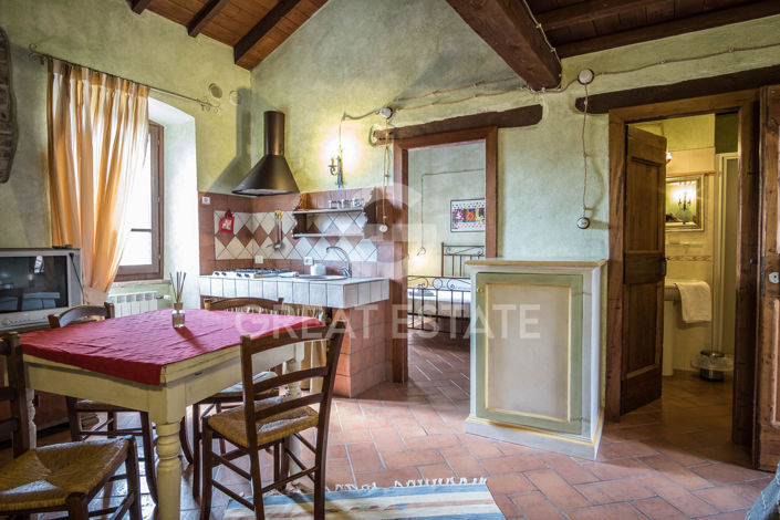 Image No.43-9 Bed Country House for sale