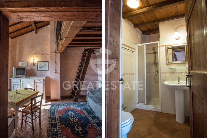 Image No.55-9 Bed Country House for sale