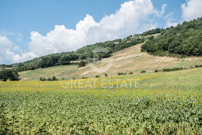 Image No.59-9 Bed Country House for sale