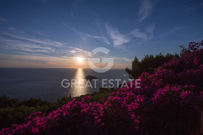 Image No.29-10 Bed Villa for sale