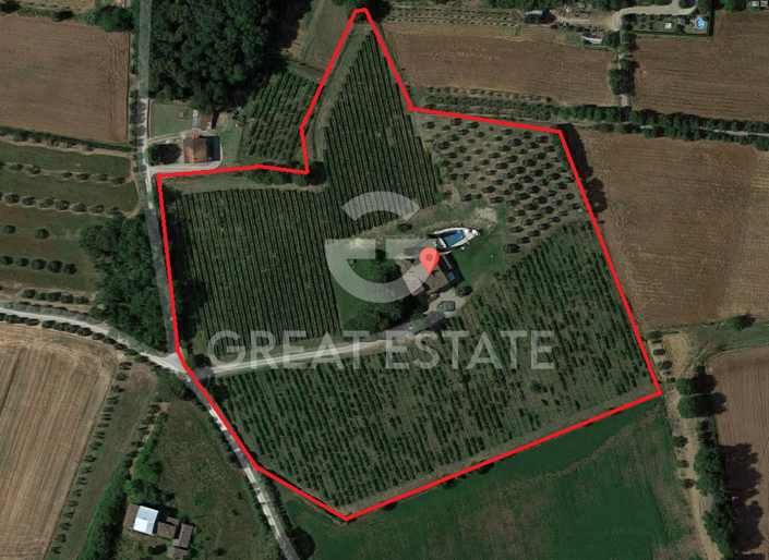 Image No.3-floorplan-3