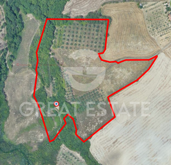 Image No.1-floorplan-1