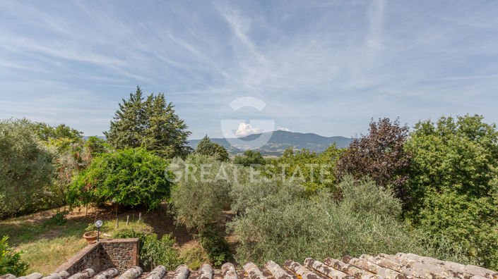 Image No.39-Maison de campagne de 5 chambres à vendre à Citta della Pieve