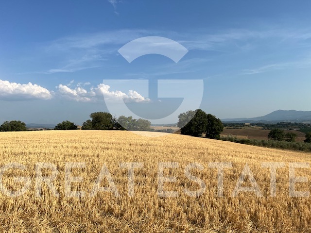 Image No.3-Maison de campagne de 4 chambres à vendre à Castiglione del Lago