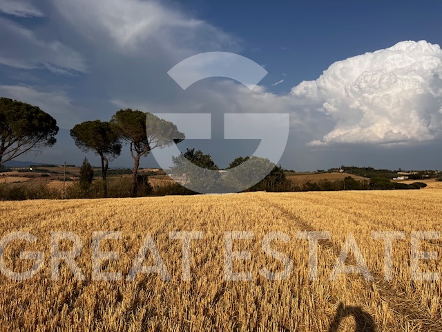 Image No.4-Maison de campagne de 4 chambres à vendre à Castiglione del Lago