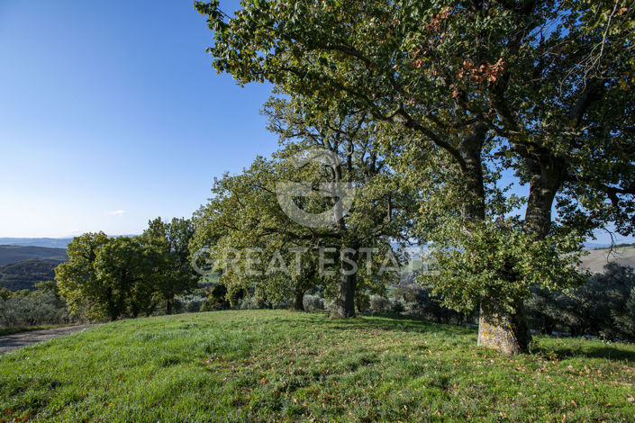 Image No.20-7 Bed Country House for sale