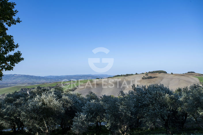 Image No.40-7 Bed Country House for sale