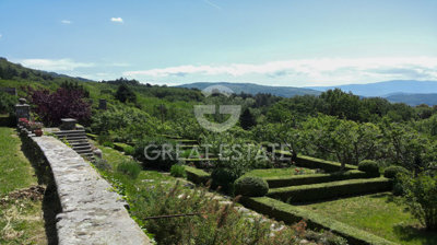 Photo_14