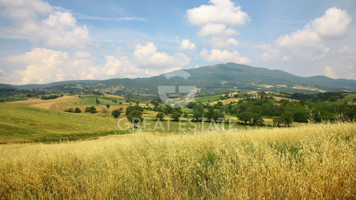 Image No.11-7 Bed Country House for sale