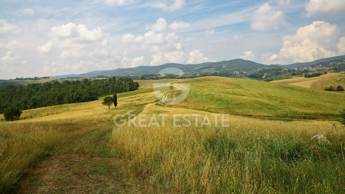 Image No.12-7 Bed Country House for sale