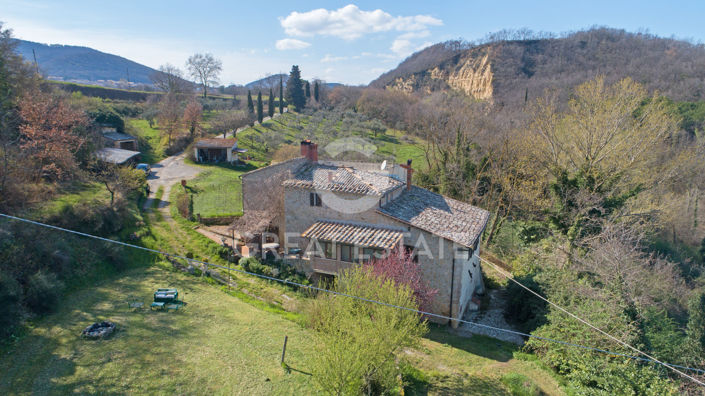 Image No.4-7 Bed Country House for sale