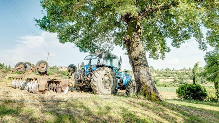 Image No.19-Maison de campagne de 9 chambres à vendre à Foiano della Chiana