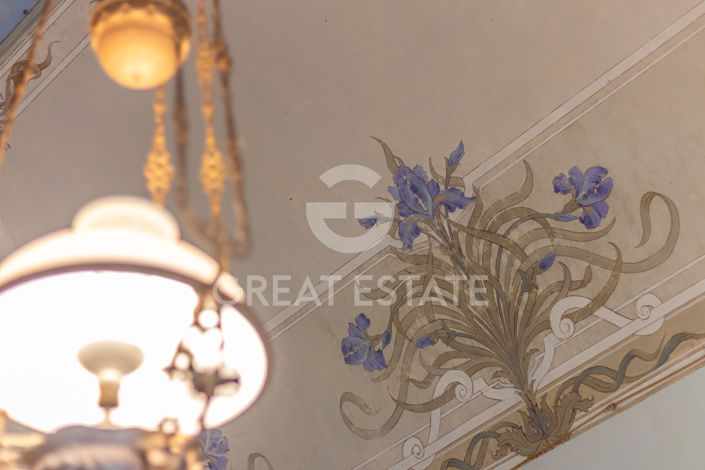 Image No.43-11 Bed Country House for sale