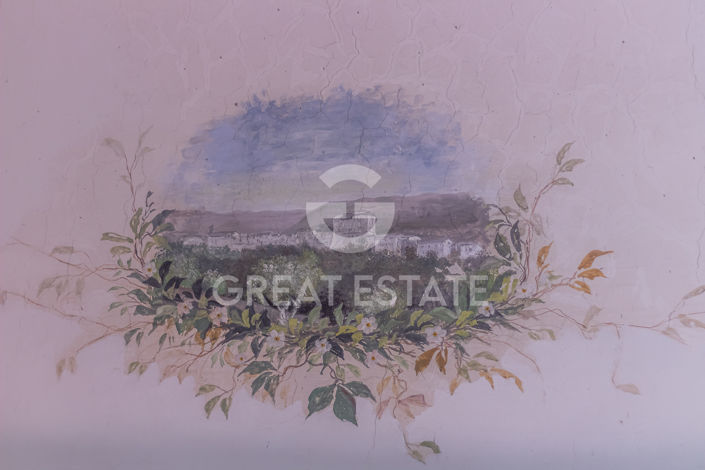 Image No.44-11 Bed Country House for sale