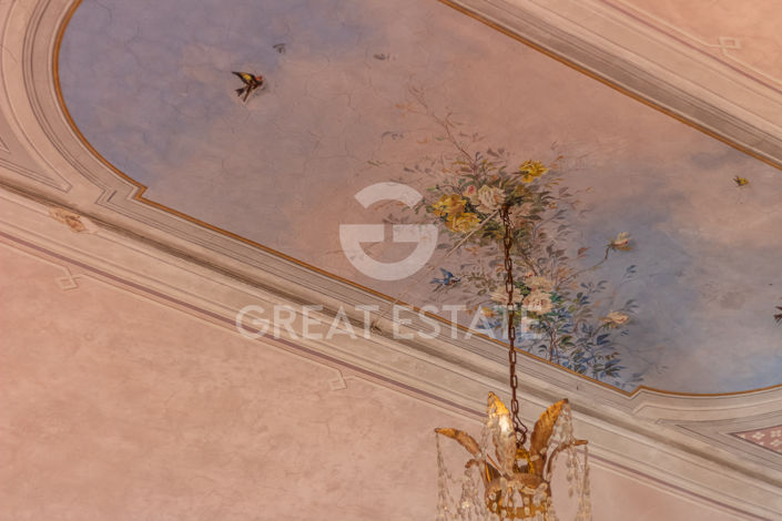 Image No.46-11 Bed Country House for sale