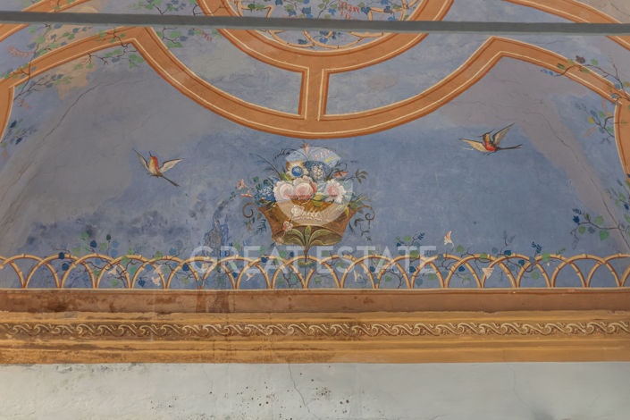 Image No.52-11 Bed Country House for sale