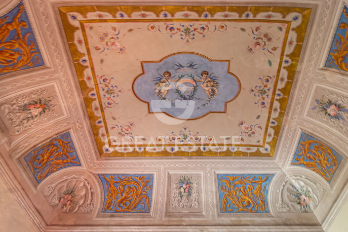 Image No.55-11 Bed Country House for sale